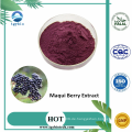 Bester Preis Acai Berry Extrakt Maqui Berry Pulver